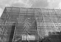 IMG_0194
