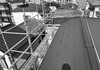 IMG_0207