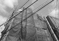 IMG_4135