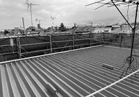 IMG_4199