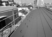 IMG_0205