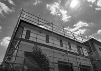 IMG_4406