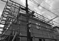 IMG_4431