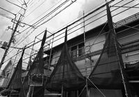 IMG_4479