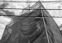 IMG_5100