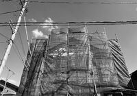 IMG_5370