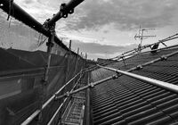 IMG_0341
